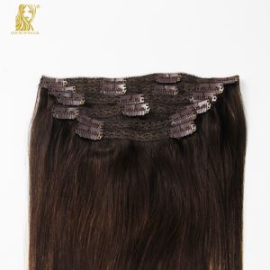 Human Hair Extensions Lace Clip-in hår